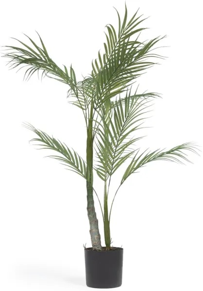 Palmera, Umělá rostlina, černá, H70x70x60 cm