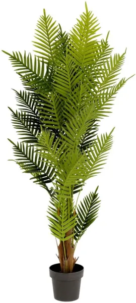 Palmera, Umělá rostlina, zelená/černá, H150x70x70 cm