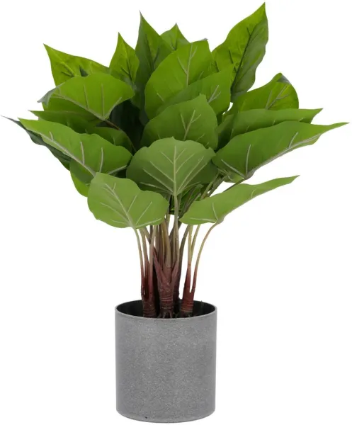 Anthurium, Umělá rostlina, zelená/šedá, H50x40x40 cm