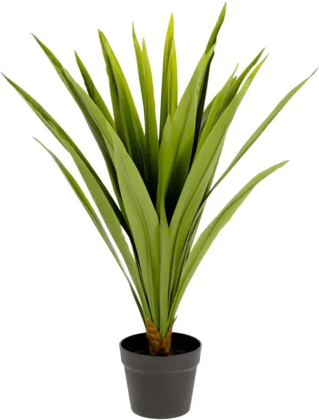 Yucca, Umělá rostlina, zelená/černá, H80x60x60 cm