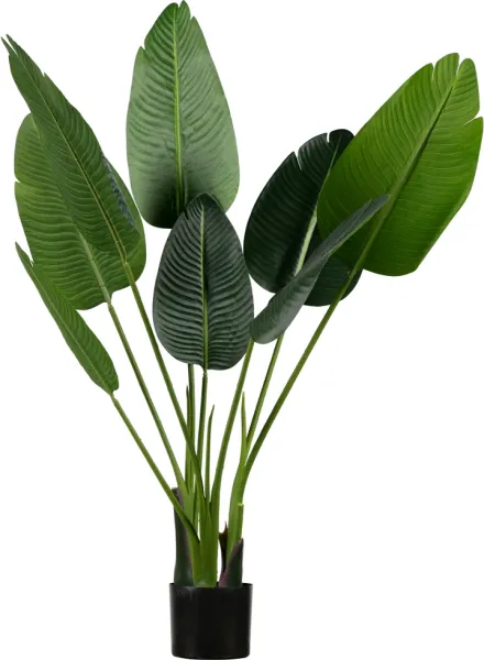 Strelitzia, Umělá rostlina, zelená, H108x61x50 cm