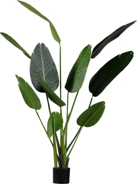 Strelitzia, Umělá rostlina, zelená, H164x96x63 cm