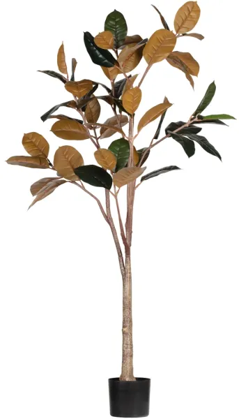 Rubber, Umělá rostlina, zelená, H170x106x63 cm