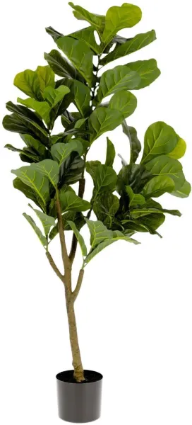 Ficus, Umělá rostlina, zelená/černá, H150x60x60 cm