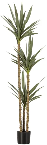 Yucca, Umělá rostlina, zelená, H155x70x70 cm