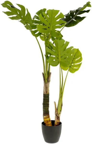 Monstera, Umělá rostlina, zelená/černá, H130x60x60 cm