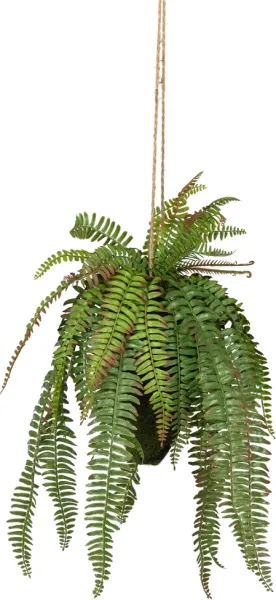 Fern, Umělá rostlina, zelená, H58x30x30 cm