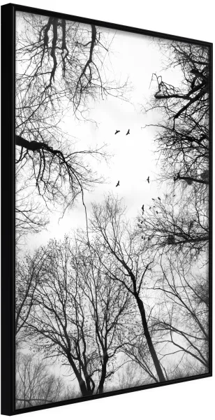 ARTGEIST Plakát s rámem - Treetops Černá 40x60
